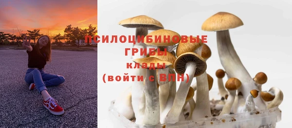 гидропоника Балабаново