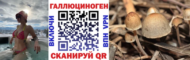 это формула  Горнозаводск  Галлюциногенные грибы Psilocybine cubensis  наркошоп 
